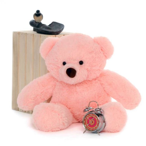 2.5 Feet Fat and Huge Pink Teddy Bear